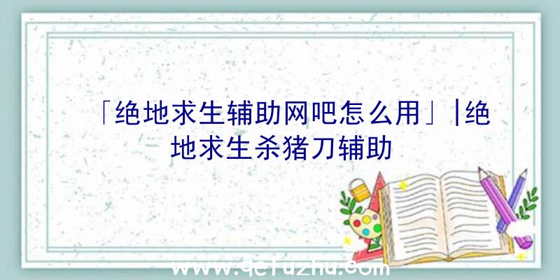 「绝地求生辅助网吧怎么用」|绝地求生杀猪刀辅助